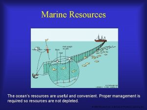 Marine Resources The oceans resources are useful and