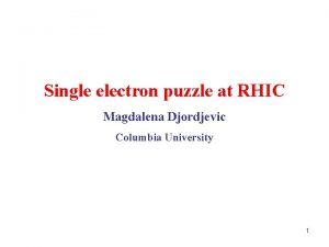 Single electron puzzle at RHIC Magdalena Djordjevic Columbia