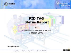 PID TAG Status Report T to the PANDA