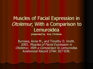 Muscles of Facial Expression in Otolemur With a