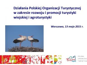 Dziaania Polskiej Organizacji Turystycznej w zakresie rozwoju i