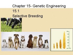 Chapter 15 Genetic Engineering 15 1 Selective Breeding