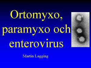 Ortomyxo paramyxo och enterovirus Martin Lagging Influensa transmission