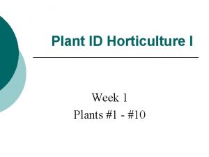 Plant ID Horticulture I Week 1 Plants 1