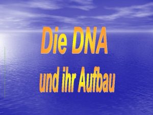 Allgemeine Fragen Was bedeutet eigentlich DNA Die DNA