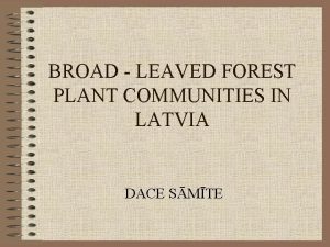 BROAD LEAVED FOREST PLANT COMMUNITIES IN LATVIA DACE