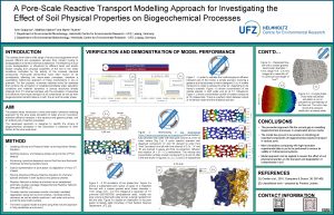 A PoreScale Reactive Transport Modelling Approach for Investigating