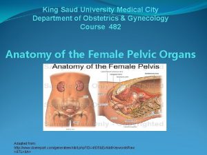King Saud University Medical City Department of Obstetrics