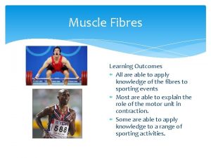 Muscle Fibres Learning Outcomes All are able to