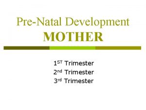 PreNatal Development MOTHER 1 ST Trimester 2 nd