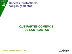 UNIDAD 4 Moneras protoctistas hongos y plantas QU