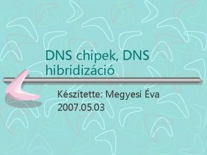 DNS chipek DNS hibridizci Ksztette Megyesi va 2007