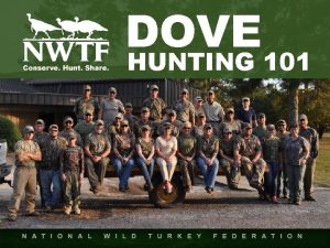 DOVE HUNTING 101 Understanding your role as a