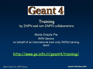 Training by INFN and notINFN collaborators Maria Grazia