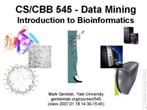 CSCBB 545 Data Mining Mark Gerstein Yale University