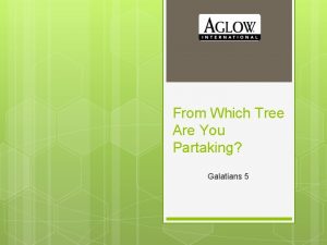 From Which Tree Are You Partaking Galatians 5