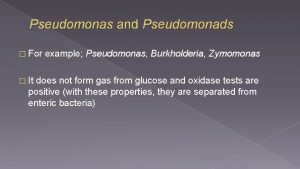 Pseudomonas and Pseudomonads For It example Pseudomonas Burkholderia