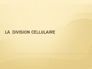 LA DIVISION CELLULAIRE 1 La division cellulaire est
