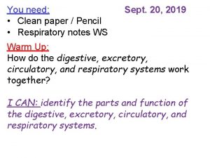 You need Clean paper Pencil Respiratory notes WS
