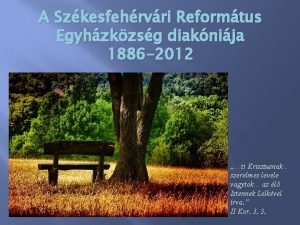 A Szkesfehrvri Reformtus Egyhzkzsg diaknija 1886 2012 ti