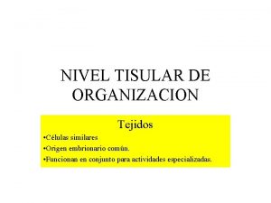 NIVEL TISULAR DE ORGANIZACION Tejidos Clulas similares Origen