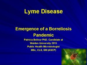 Lyme Disease Emergence of a Borreliosis Pandemic Patricia
