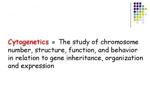 Cytogenetics The study of chromosome number structure function