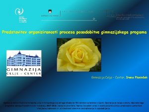 Predstavitev organiziranosti procesa posodobitve gimnazijskega progama Gimnazija Celje