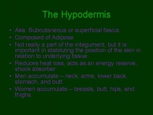 The Hypodermis Aka Subcutaneous or superficial fascia Composed