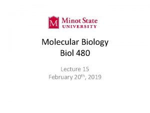 Molecular Biology Biol 480 Lecture 15 February 20