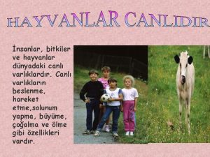 nsanlar bitkiler ve hayvanlar dnyadaki canl varlklardr Canl