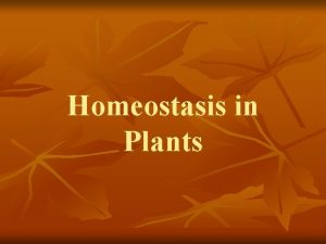 Homeostasis in Plants Plant Regulation n n Regulation