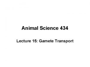 Animal Science 434 Lecture 15 Gamete Transport Sperm
