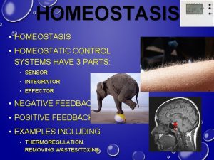 HOMEOSTASIS HOMEOSTATIC CONTROL SYSTEMS HAVE 3 PARTS SENSOR