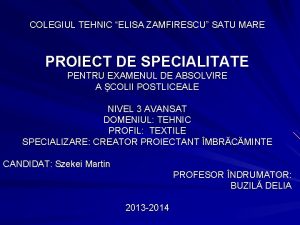 COLEGIUL TEHNIC ELISA ZAMFIRESCU SATU MARE PROIECT DE