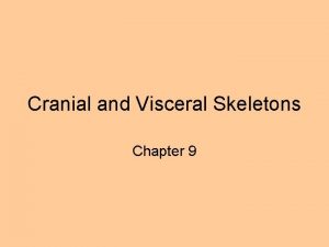 Cranial and Visceral Skeletons Chapter 9 The cranial