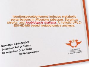 Isonitrosoacetophenone induces metabolic perturbations in Nicotiana tabacum Sorghum
