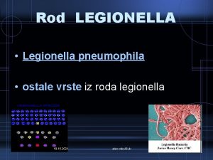 Rod LEGIONELLA Legionella pneumophila ostale vrste iz roda