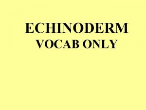 ECHINODERM VOCAB ONLY A radially symmetrical marine invertebrate