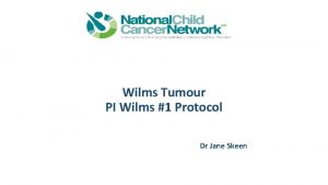 Wilms Tumour PI Wilms 1 Protocol Dr Jane