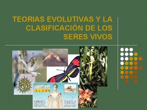 TEORIAS EVOLUTIVAS Y LA CLASIFICACIN DE LOS SERES