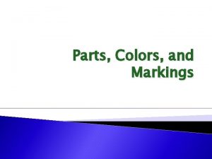 Parts Colors and Markings Parts of The Horse