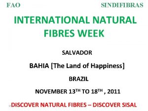 FAO SINDIFIBRAS INTERNATIONAL NATURAL FIBRES WEEK SALVADOR BAHIA