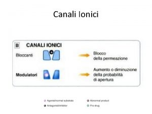 Canali Ionici Canali Ionici Na voltaggio attivato Cl