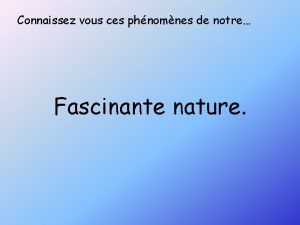 Connaissez vous ces phnomnes de notre Fascinante nature