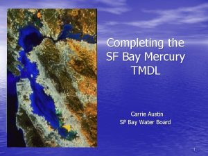Completing the SF Bay Mercury TMDL Carrie Austin