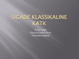 SIGADE KLASSIKALINE KATK Pestis suum Classical Swine Fever