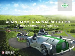 ARM HAMMER ANIMAL NUTRITION Always stay on the