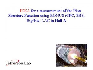 IDEA for a measurement of the Pion Structure