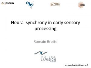 Neural synchrony in early sensory processing Romain Brette